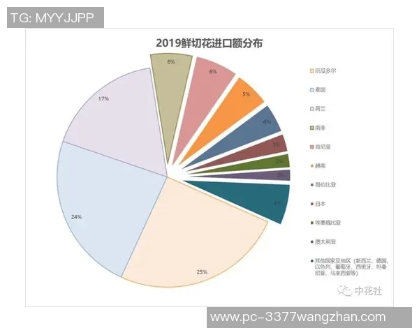 2026年3月份新闻独家分析V5灵活性对比各大竞争产品的优势与不足 2026年3月份新闻独家分析V5灵活性对比各大竞争产品的优势与不足